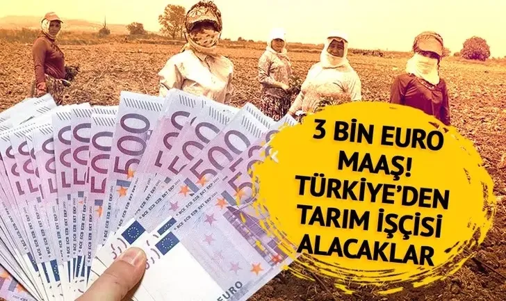 Ayda 3 bin euro maaş! Türkiye