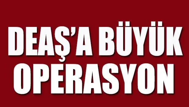 8 ilde DEAŞ