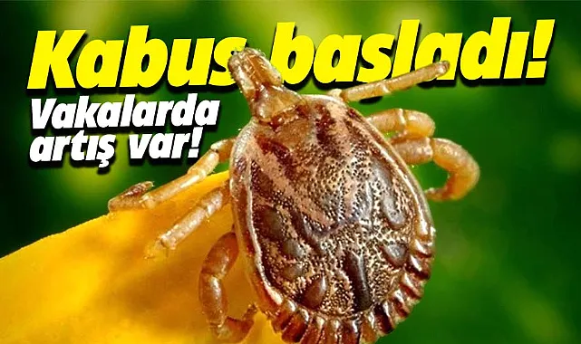 Yüzlerce kişiyi etkisi altına aldı! Ölümler bu yıl erken başladı! 