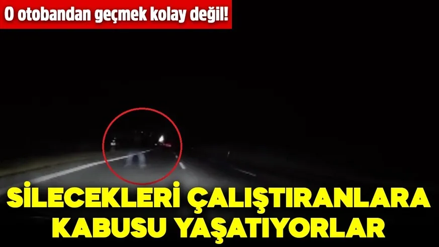 Bu çete sürücülerin kabusu oldu!