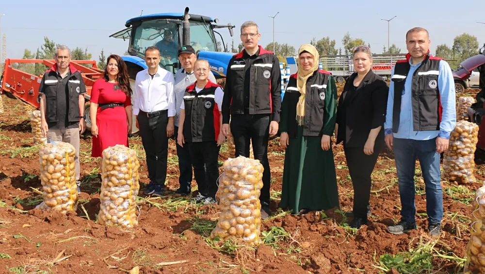 Tarımın başkentinde hasat sezonu patatesle başladı...