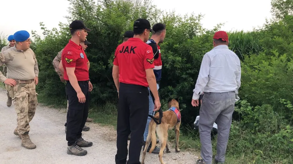 Mısır tarlasında kaybolan bir kişi özel eğitimli köpeklerle aranıyor!