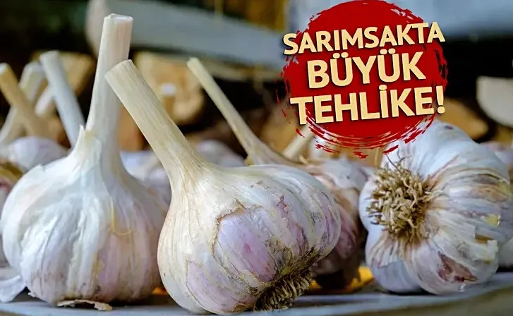 Uzmanlar uyardı: ‘İnsan dışkısı bile bulundu…
