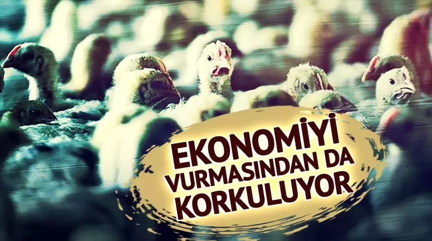 Ekonomiyi kötü etkilemesinden korkuluyor! Avrupa
