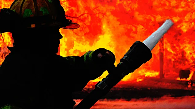 Park halindeki kamyonet alevlere teslim oldu