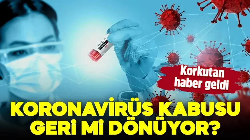  İnsana bulaşma riski var!