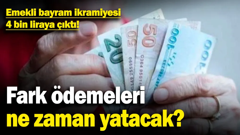 Karar, Resmi Gazete