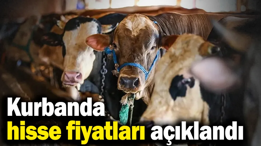 Kurban hisse fiyatları 25 bin-35 bin TL, kesim ücreti ise 4 bin TL