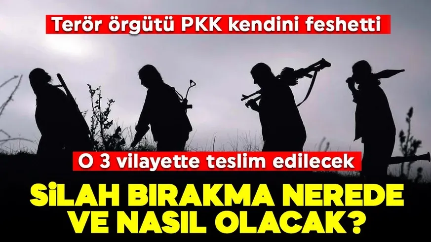 PKK’lı teröristler hangi ülkelere gidecek? 