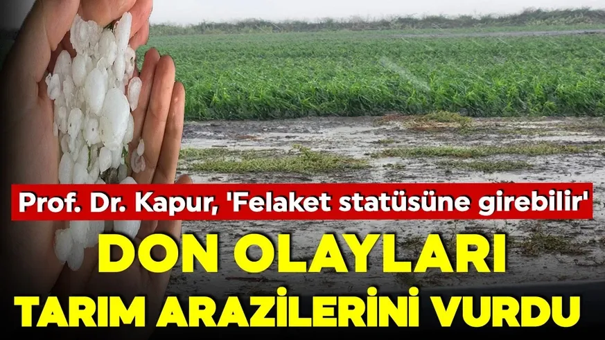 Çukurova