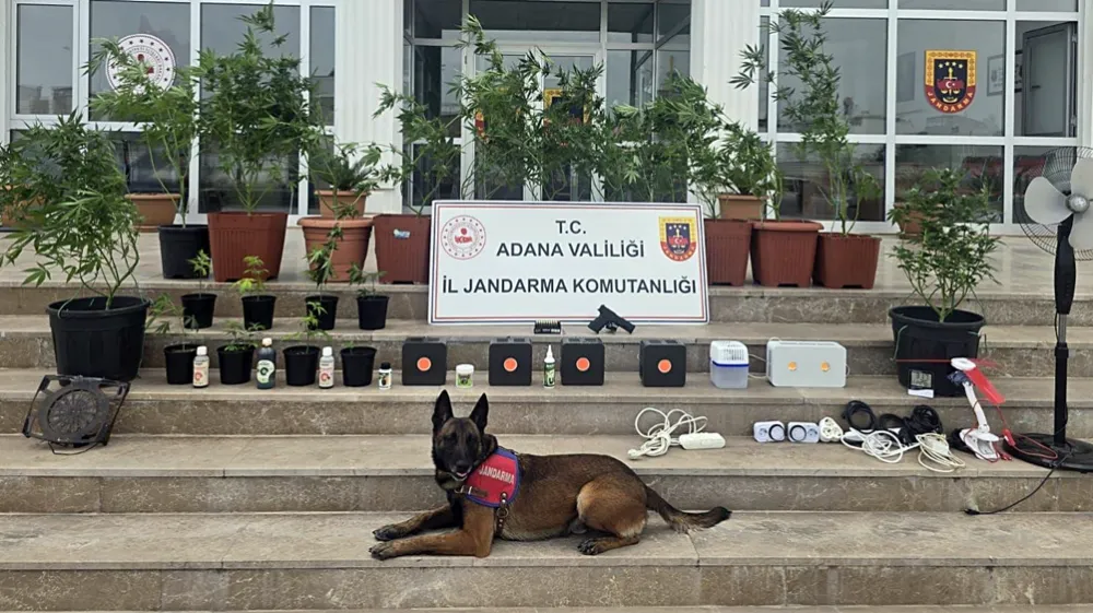 Jandarma