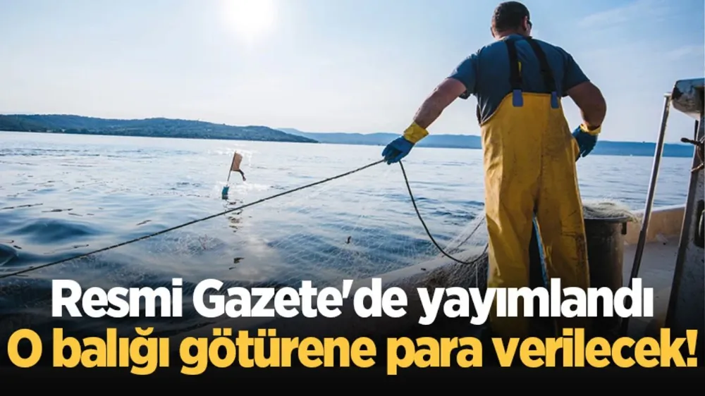 Türe göre ödeme yapılacak!