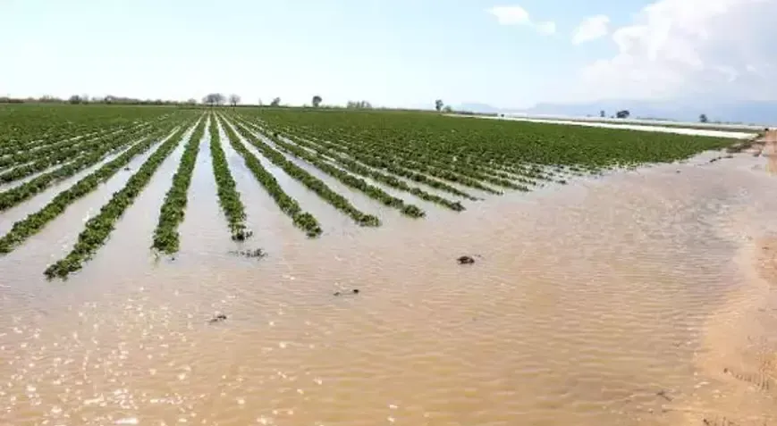 Adana’nın ilçelerinde tarım arazileri sular altında kaldı