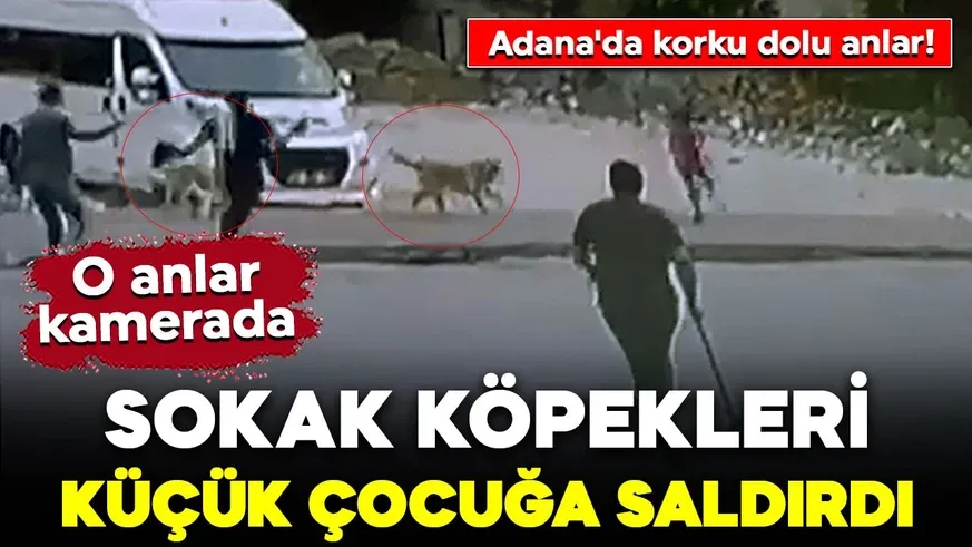 Adana