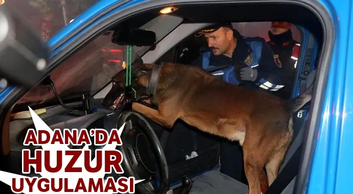 Yüreğir’de ‘Huzur ve Güven’ uygulaması