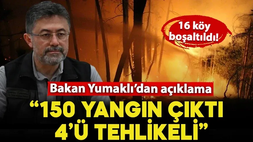 Alevler köyü sardı, sadece iki ev kurtuldu! Bölge tamamen küle döndü