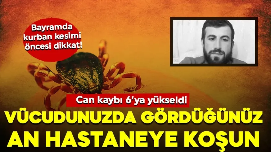Can kaybı 6