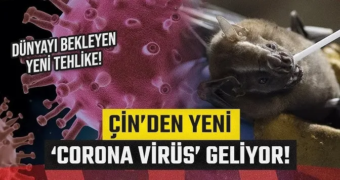 Büyük salgın kapıda! Çin dünyayı uyardı...