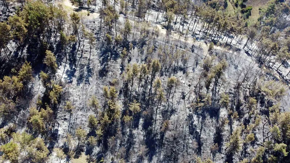 Adana’da 14 saatte 250 hektar orman yandı...