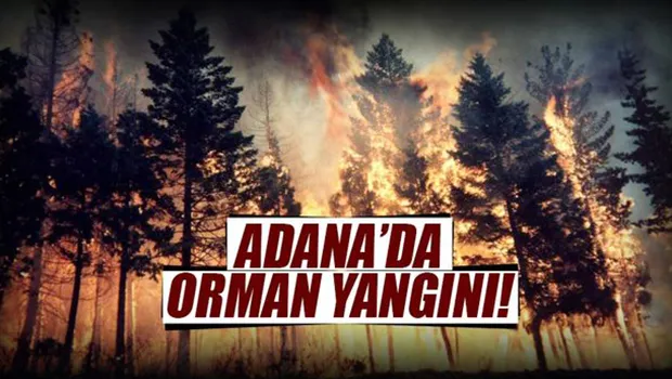 Yangına havadan ve karadan müdahale başlatıldı...