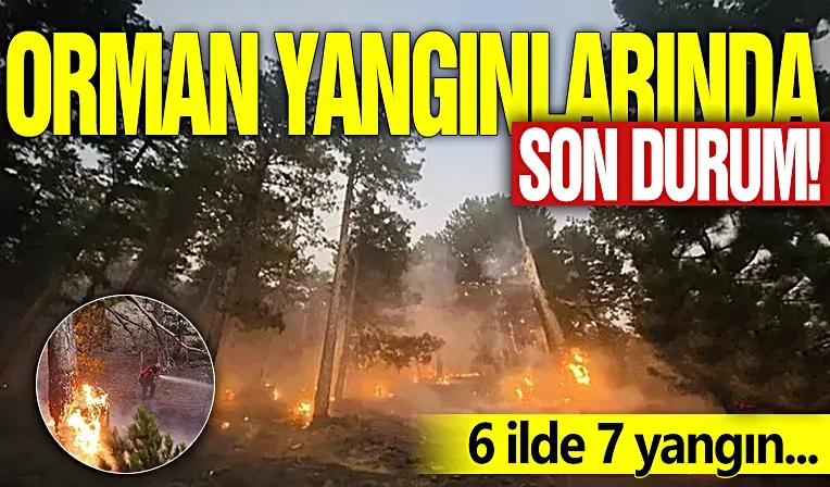 Türkiye’nin ciğerleri yanıyor!