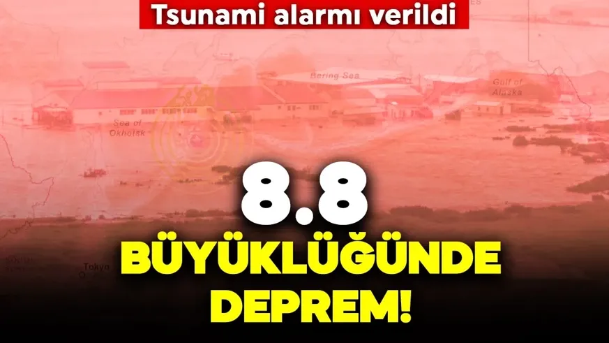 İlk tsunami dalgası Japonya! Balinalar kıyıya vurdu! İşte deprem anı...