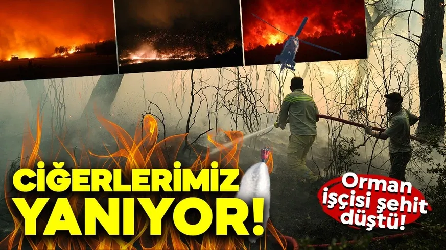 Köylüler gözleri yaşlı bir şekilde felaket bölgesinden uzaklaştı