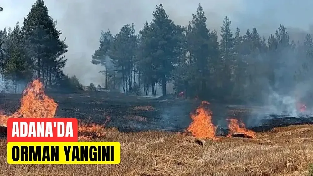 Pozantı Otoyolu’nda araç yangını ormana sıçradı...
