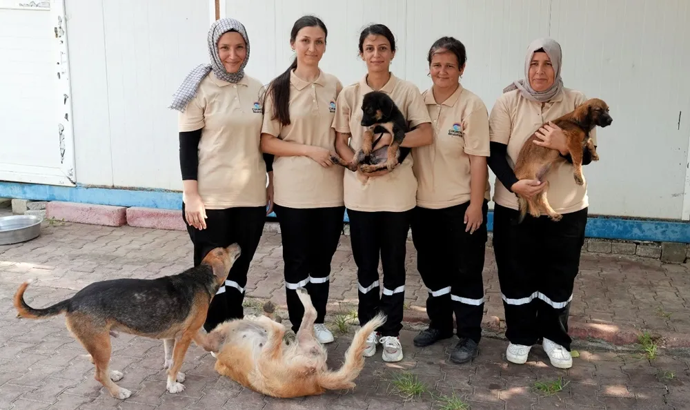 Çukurova Belediyesi’nden can dostlara şefkat eli
