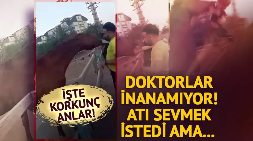 At babasının kucağındaki çocuğu ısırarak alıp havaya fırlattı! Korkunç dakikalar kameralara yansıdı