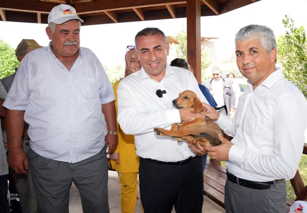 Güngör Geçer, Hayvan Barınağı’nda incelemelerde bulundu