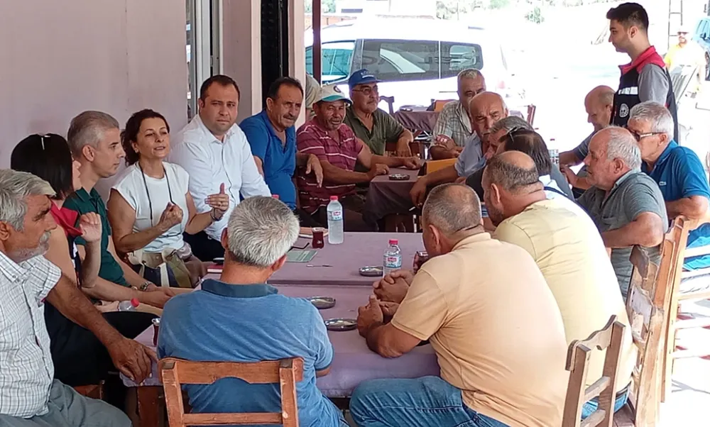 ÇÜ