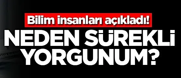  Bilim insanları açıkladı! Neden sürekli yorgunum?