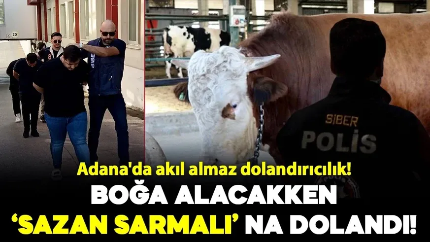 Boğa alacakken Sazan Sarmalı kurbanı oldular