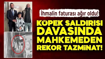Köpek dehşetine rekor tazminat kararı...