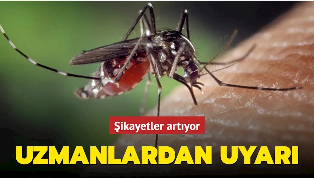 Asya kaplan sivrisineği alarmı