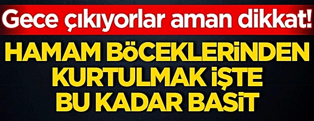 Hamam böceklerini evden uzaklaştıran 3 yöntem