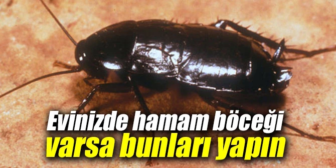 Bu doğal karışım sizi böceklerden kurtarıyor!