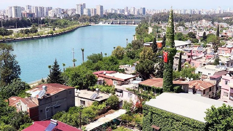 Adana’da sarmaşıklarla kaplı Yeşil Cami