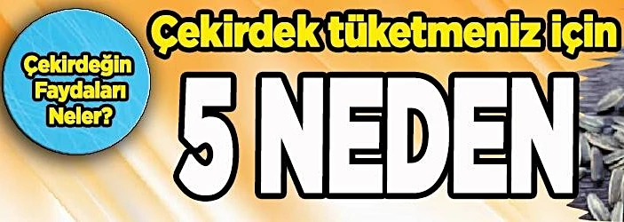 Çekirdek tüketmeniz İçin 5 Neden!