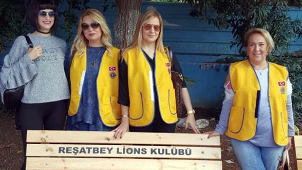 Lionslar