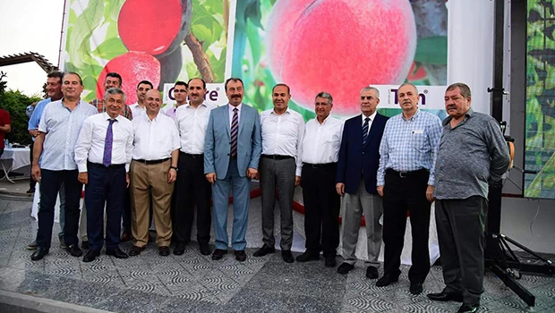 Beta Fidanın meyveleri görücüye çıktı...
