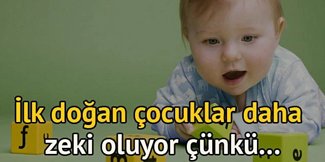 İlk doğan çocuklar daha zeki oluyor çünkü...
