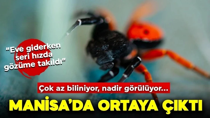Dikkat zehir saçıyor...