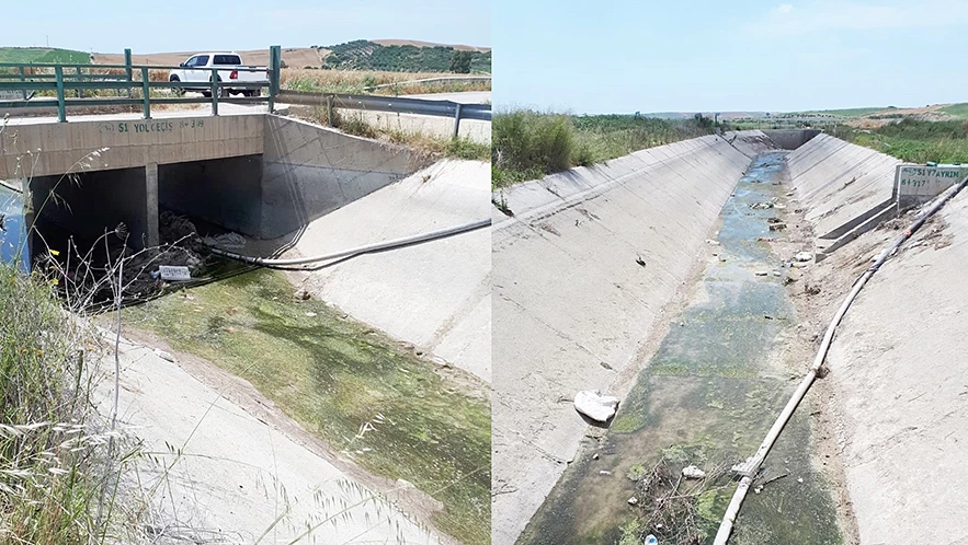Çiftçiler isyanda! Karpuz tarlaları susuz, yetkililer nerede?