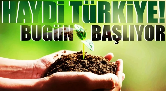 TEMA Vakfından fidan bağış kampanyası!