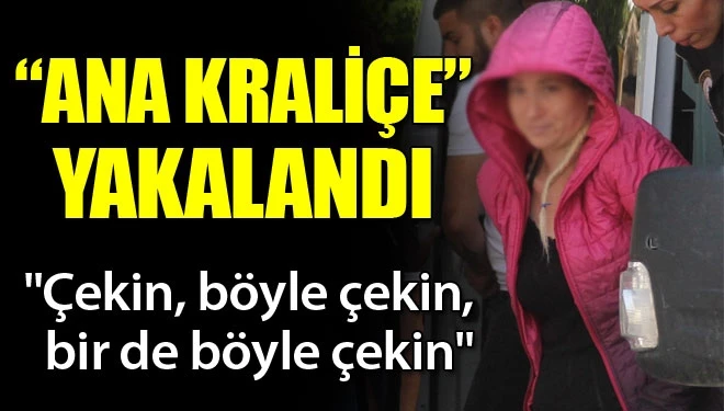 Adana'da  "Ana kraliçe" yakalandı...