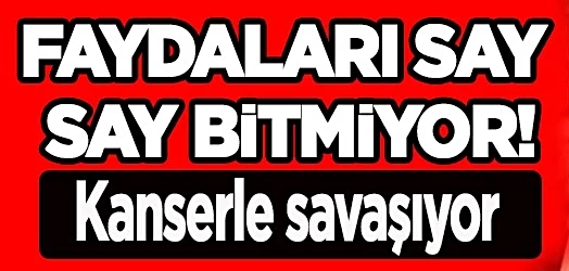 Çam sakızı çoban armağanı, anında gençleştirecek