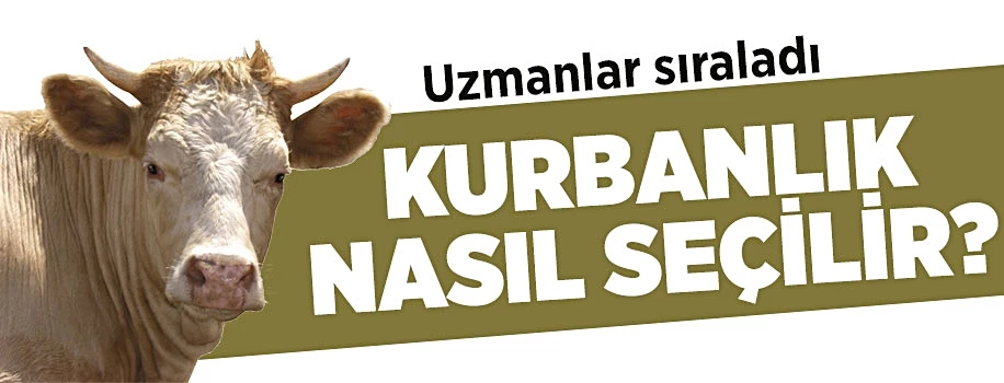 Hayvanda eğer bunlar varsa kesinlikle almayın!